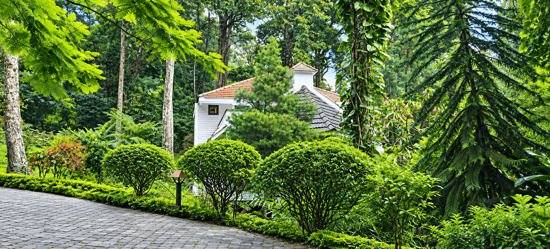 The Tall Trees Resort Munnar Kerala Book Your Stay with LoveYatri