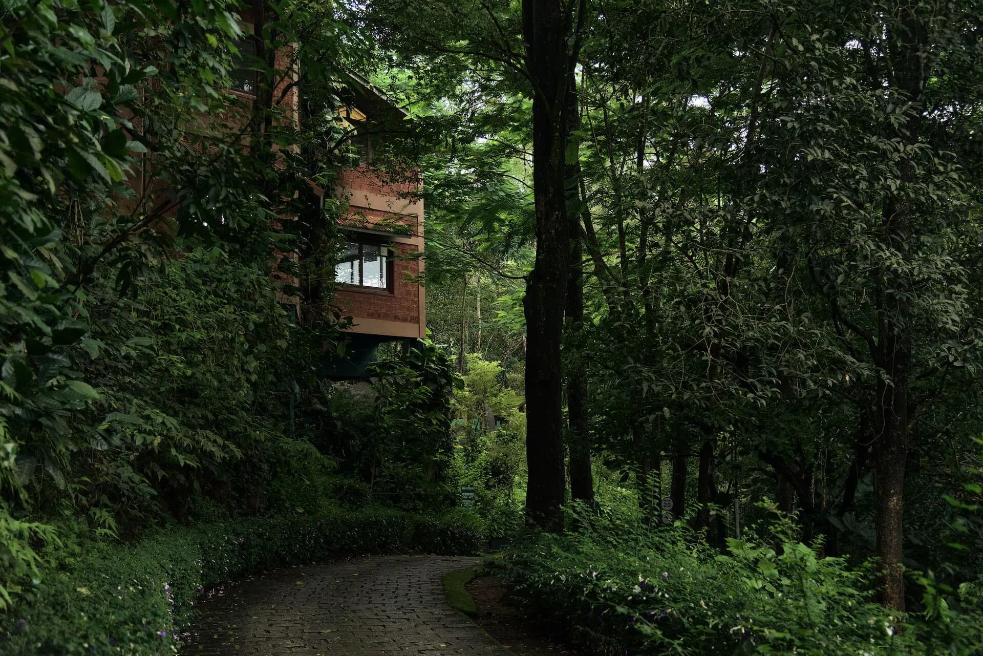 Cottage with Breakfast - Image 1
