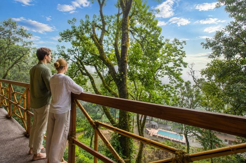 Luxury Tree House Room with Breakfast - Image 1