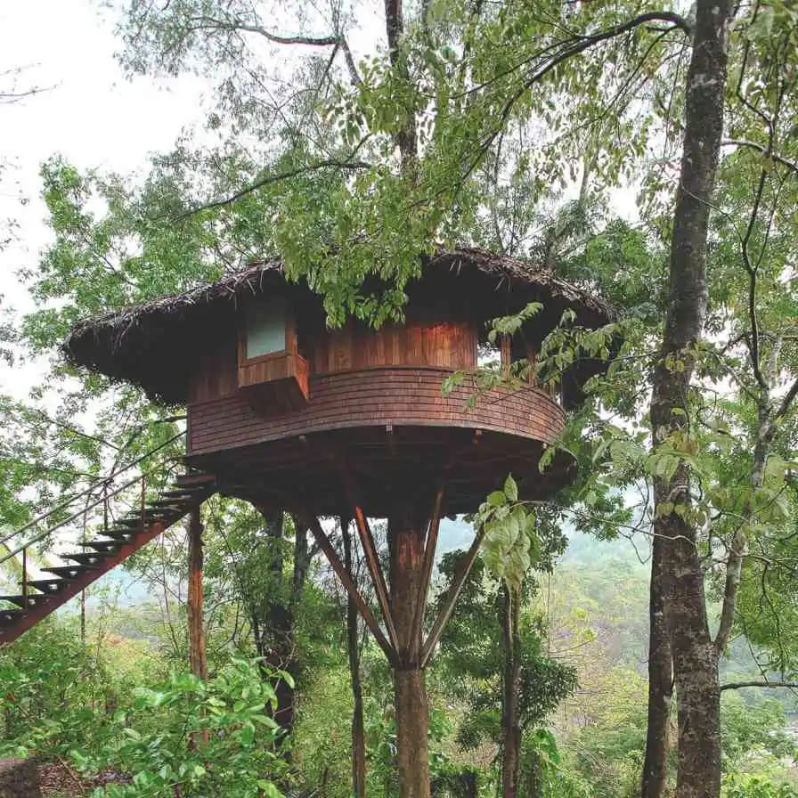 Tree house-AP - Image 1