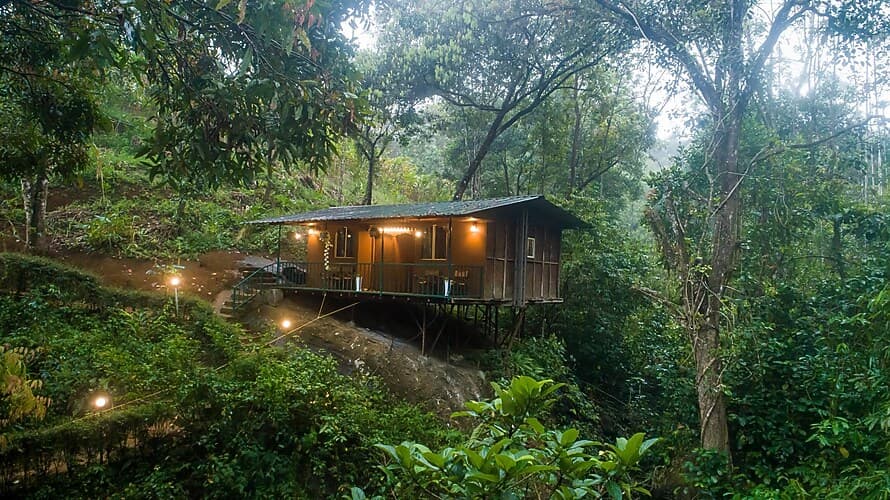 Rock House with Breakfast - Image 1