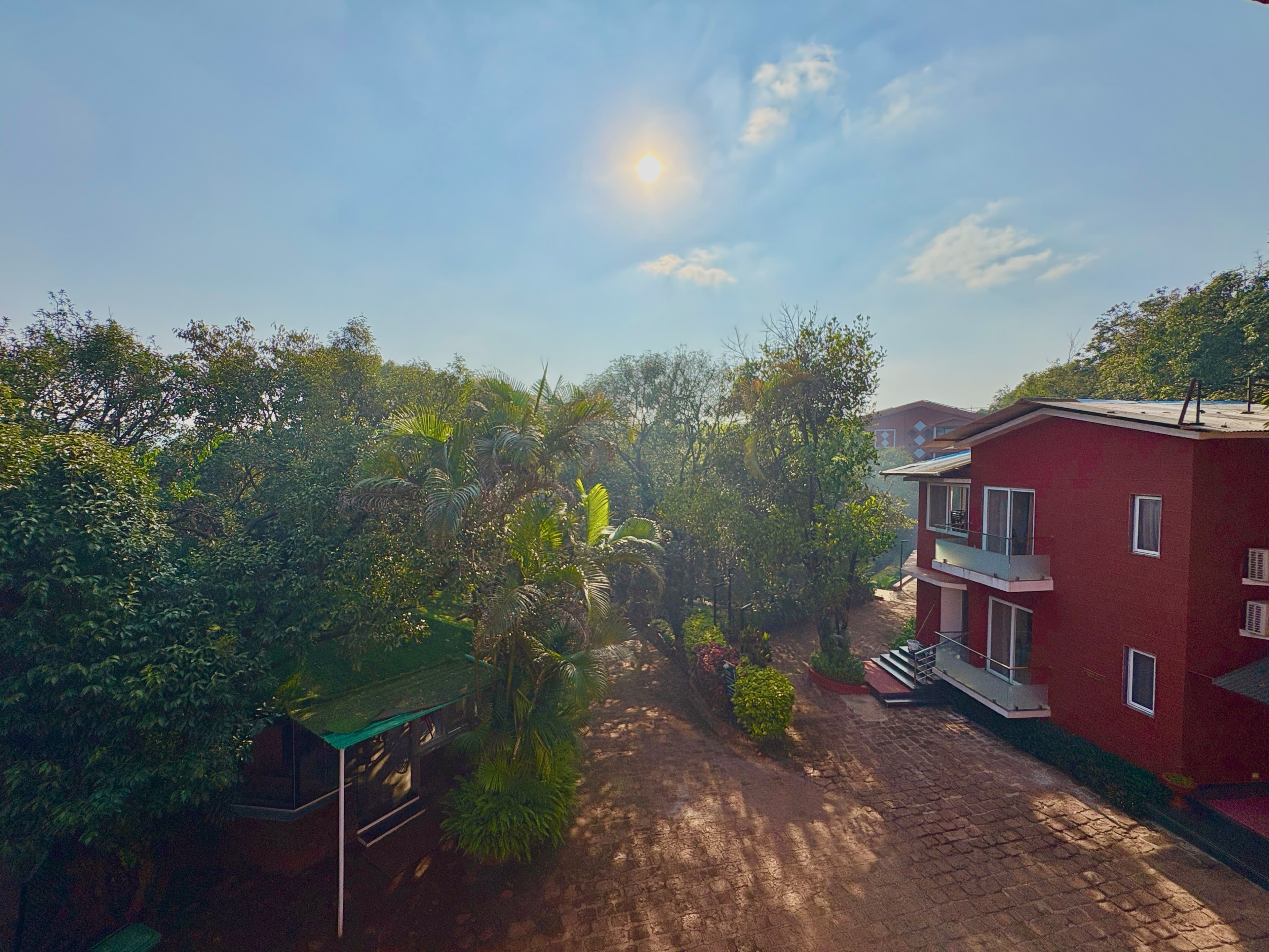 Forest Executive Room with Breakfast - Image 1