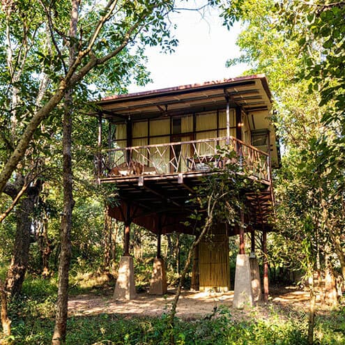 Elevated Luxury Cottage - Image 1