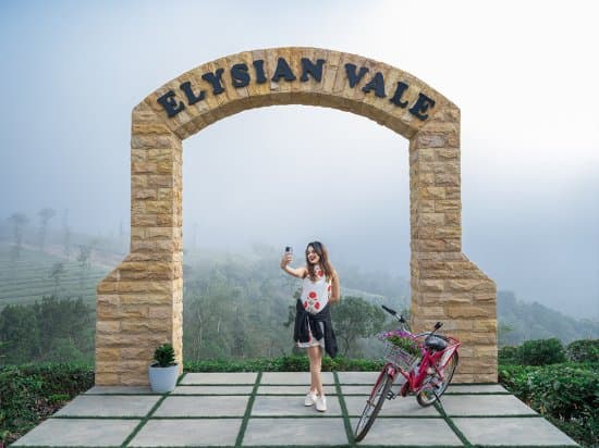 Tea Valley Cottage with breakfast - Image 1