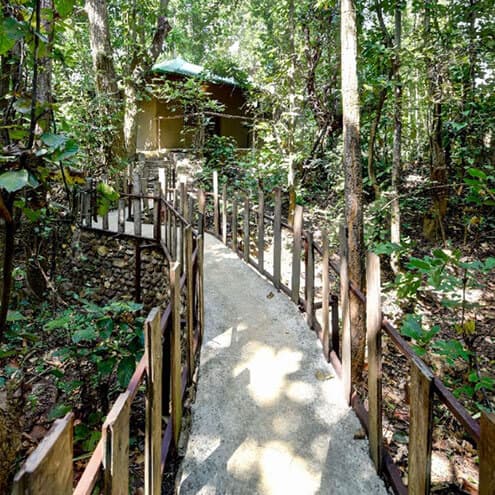Triphala House - 01 - Image 1